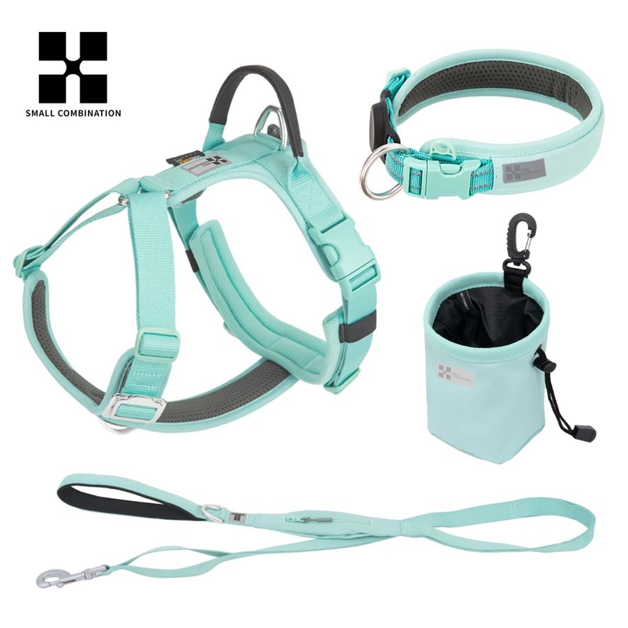 ReflectRoam Collar & Leash Set