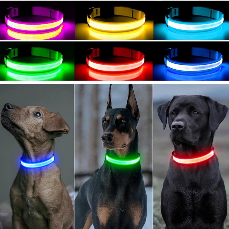 GlowPup LED Safety Collar